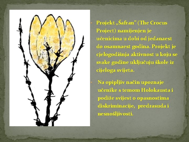  • Projekt „Šafran” (The Crocus Project) namijenjen je učenicima u dobi od jedanaest