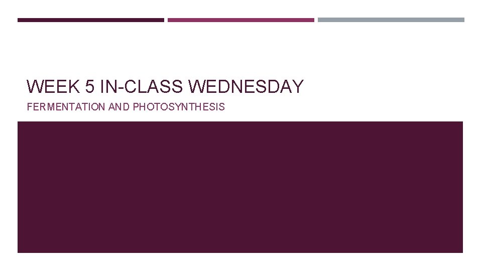 WEEK 5 IN-CLASS WEDNESDAY FERMENTATION AND PHOTOSYNTHESIS 