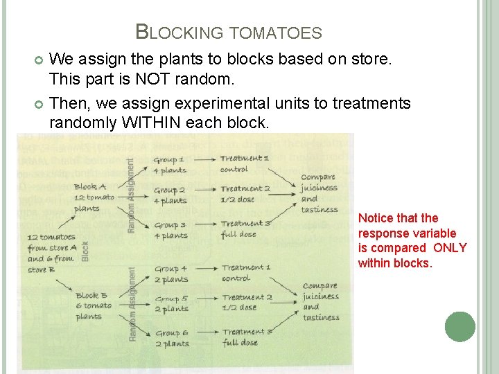 BLOCKING TOMATOES We assign the plants to blocks based on store. This part is