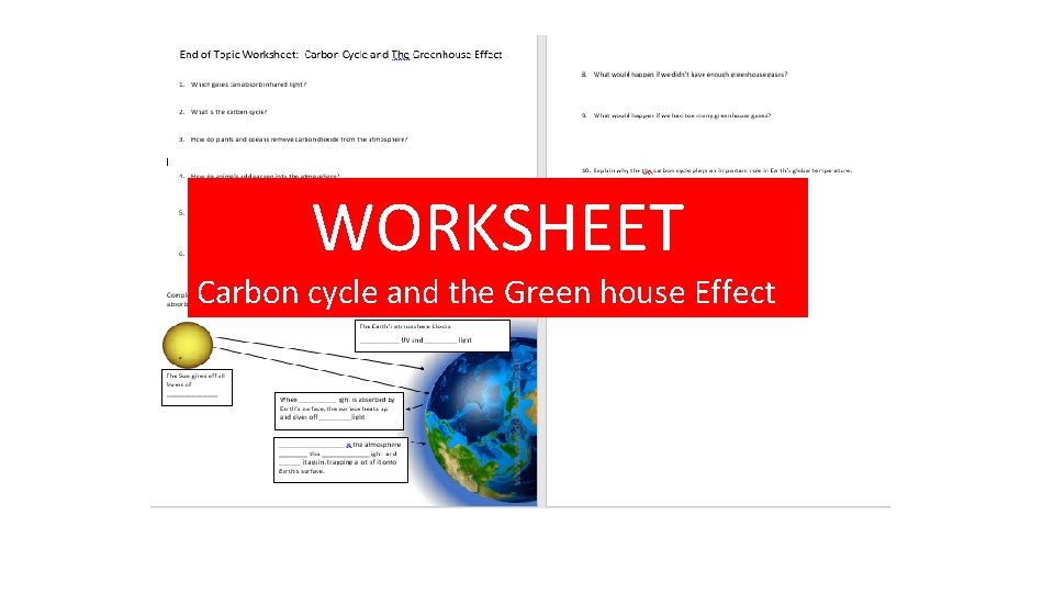 WORKSHEET Carbon cycle and the Green house Effect 