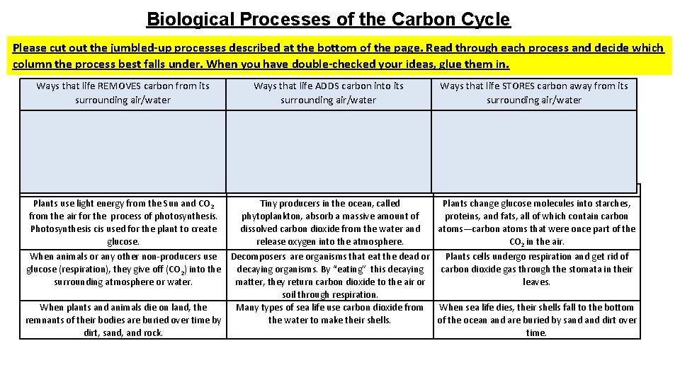 Biological Processes of the Carbon Cycle Please cut out the jumbled-up processes described at