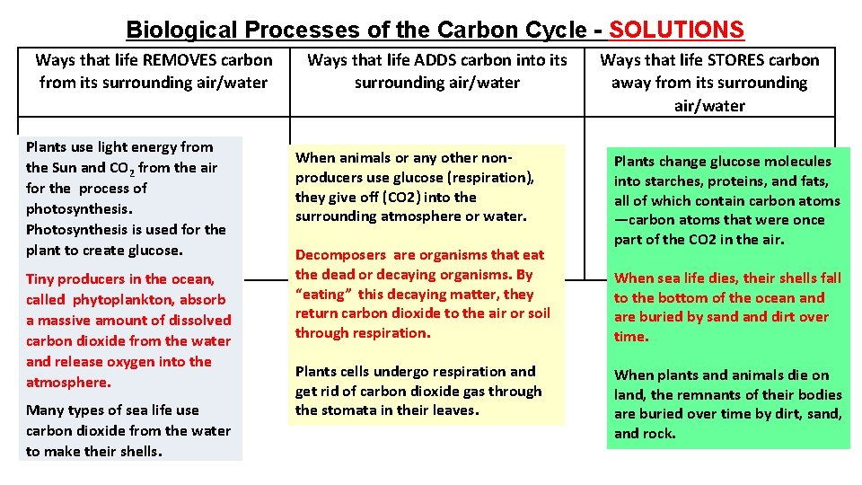 Biological Processes of the Carbon Cycle - SOLUTIONS Ways that life REMOVES carbon from