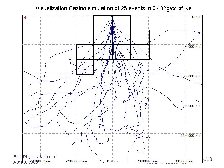 Visualization Casino simulation of 25 events in 0. 483 g/cc of Ne BNL Physics