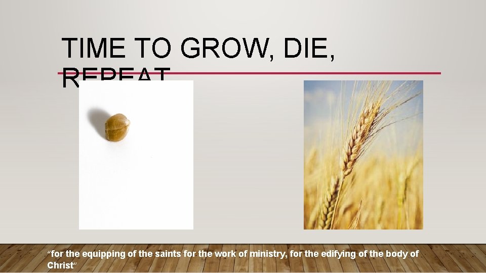 TIME TO GROW, DIE, REPEAT “for the equipping of the saints for the work TIME TO GROW, DIE, REPEAT “for the equipping of the saints for the work
