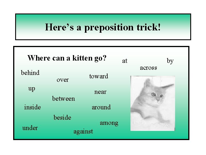 Here’s a preposition trick! Where can a kitten go? behind toward over up near