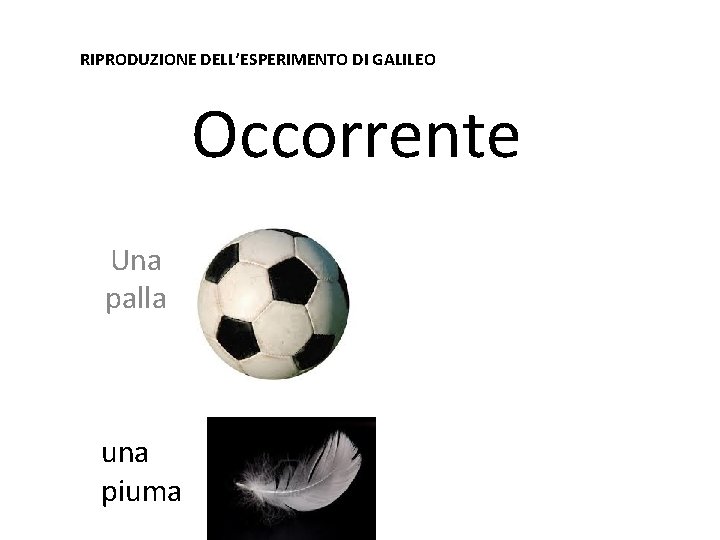 RIPRODUZIONE DELL’ESPERIMENTO DI GALILEO Occorrente Una palla una piuma 