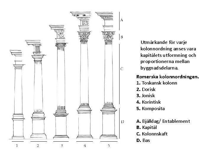 Utmärkande för varje kolonnordning anses vara kapitälets utformning och proportionerna mellan byggnadsdelarna. Romerska kolonnordningen.