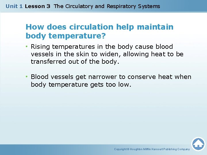 Unit 1 Lesson 3 The Circulatory and Respiratory Systems How does circulation help maintain
