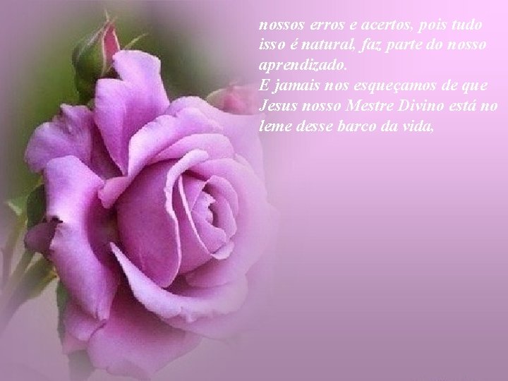 nossos erros e acertos, pois tudo isso é natural, faz parte do nosso aprendizado.