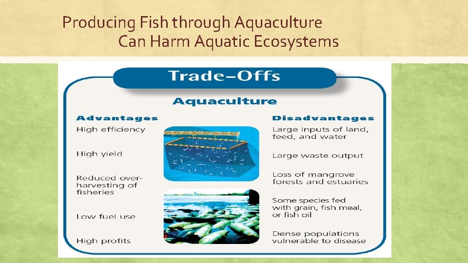 Producing Fish through Aquaculture Can Harm Aquatic Ecosystems 