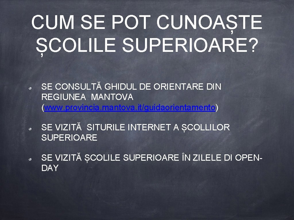 CUM SE POT CUNOAȘTE ȘCOLILE SUPERIOARE? SE CONSULTĂ GHIDUL DE ORIENTARE DIN REGIUNEA MANTOVA