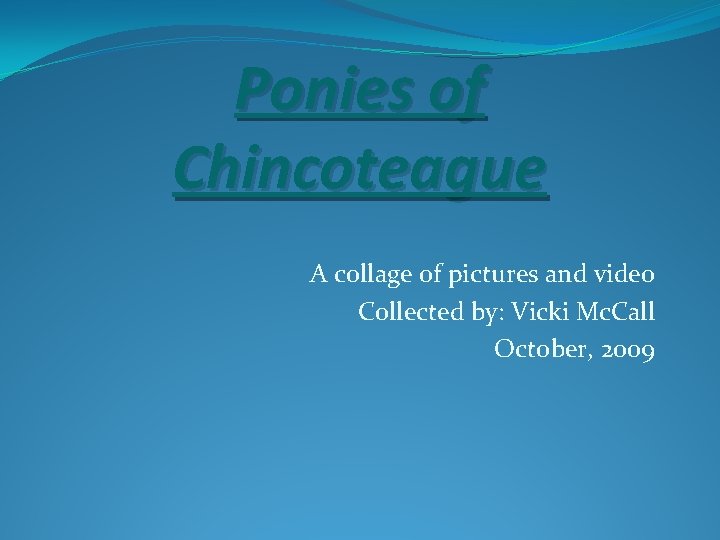 Ponies of Chincoteague A collage of pictures and video Collected by: Vicki Mc. Call Ponies of Chincoteague A collage of pictures and video Collected by: Vicki Mc. Call
