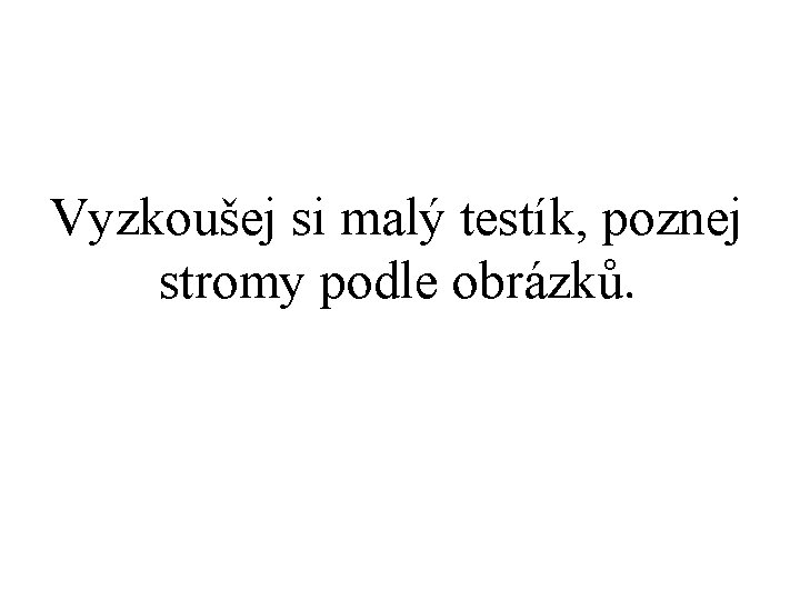 Vyzkoušej si malý testík, poznej stromy podle obrázků. 