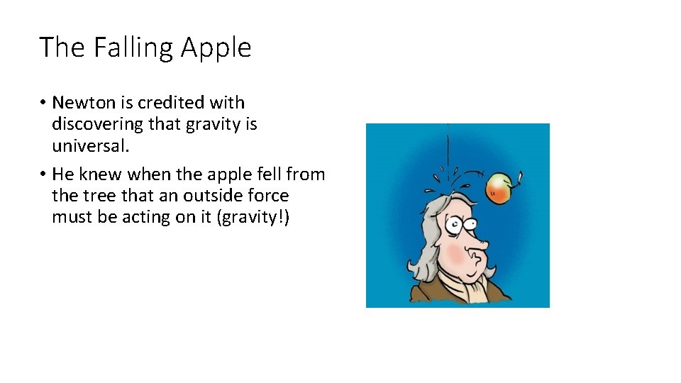 The Falling Apple • Newton is credited with discovering that gravity is universal. •