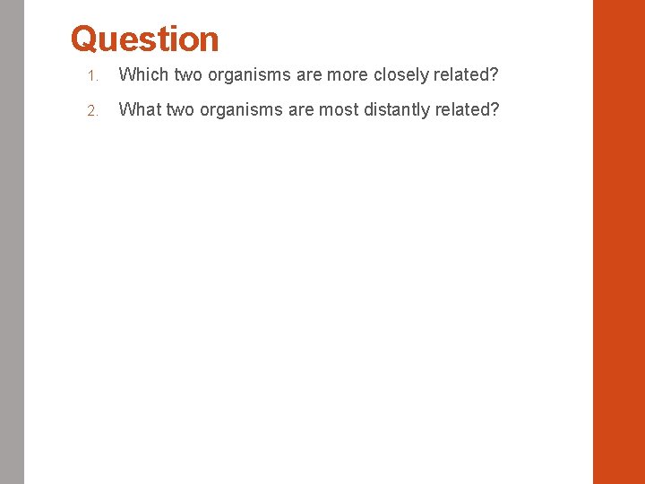 Question 1. Which two organisms are more closely related? 2. What two organisms are
