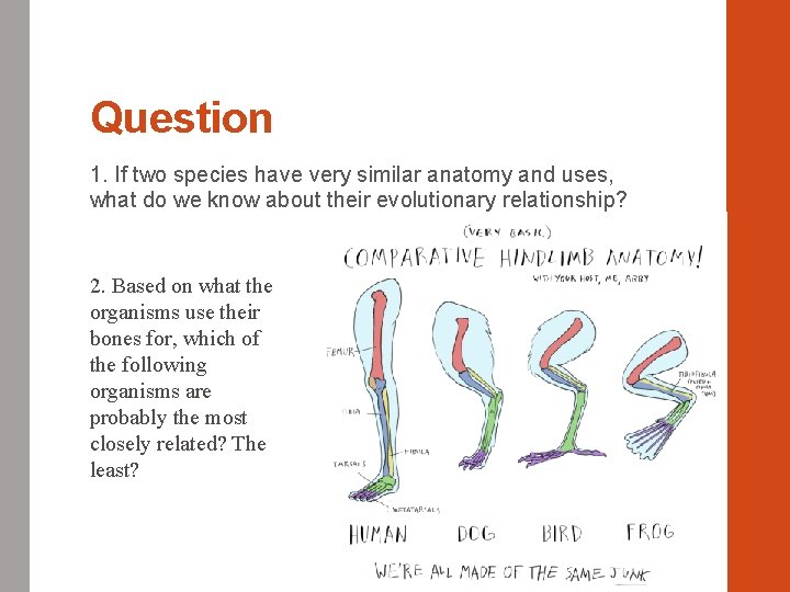 Question 1. If two species have very similar anatomy and uses, what do we