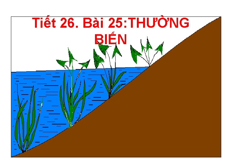 Tiết 26. Bài 25: THƯỜNG BIẾN 