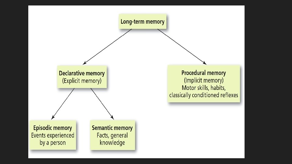 Memory Memory and Its Processes Memory an active