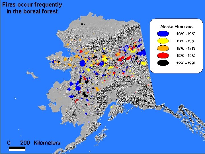 Fires occur frequently in the boreal forest 12/2/2022 Landscape Ecology Matsinos 41 