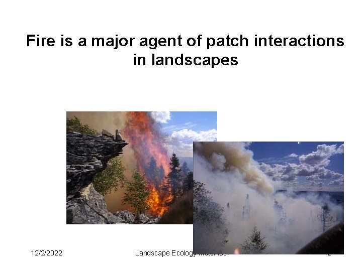 Fire is a major agent of patch interactions in landscapes 12/2/2022 Landscape Ecology Matsinos