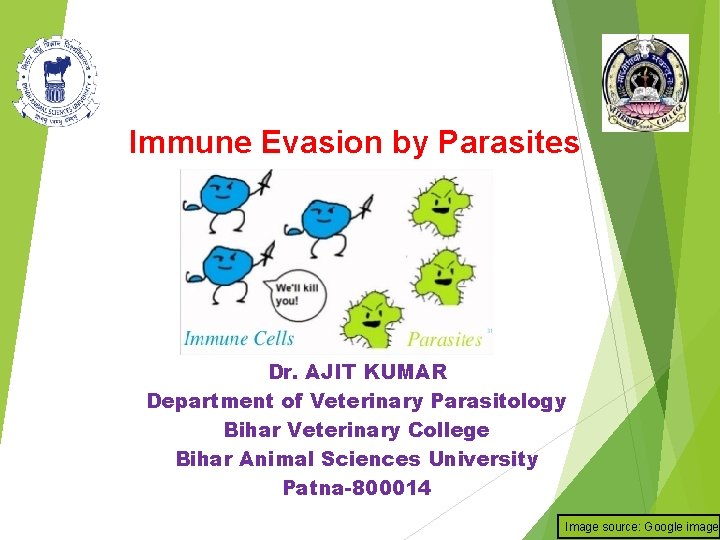 Immune Evasion by Parasites Dr. AJIT KUMAR Department of Veterinary Parasitology Bihar Veterinary College