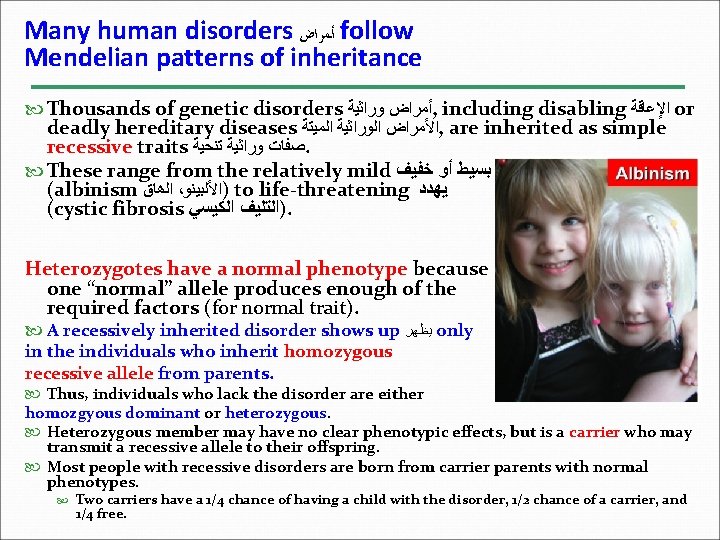 Many human disorders ﺃﻤﺮﺍﺽ follow Mendelian patterns of inheritance Thousands of genetic disorders ﺃﻤﺮﺍﺽ