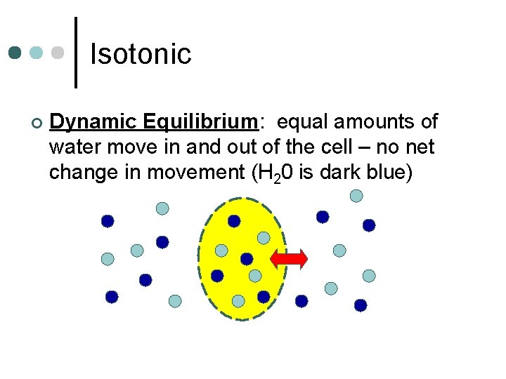 Isotonic ¢ Dynamic Equilibrium: equal amounts of water move in and out of the