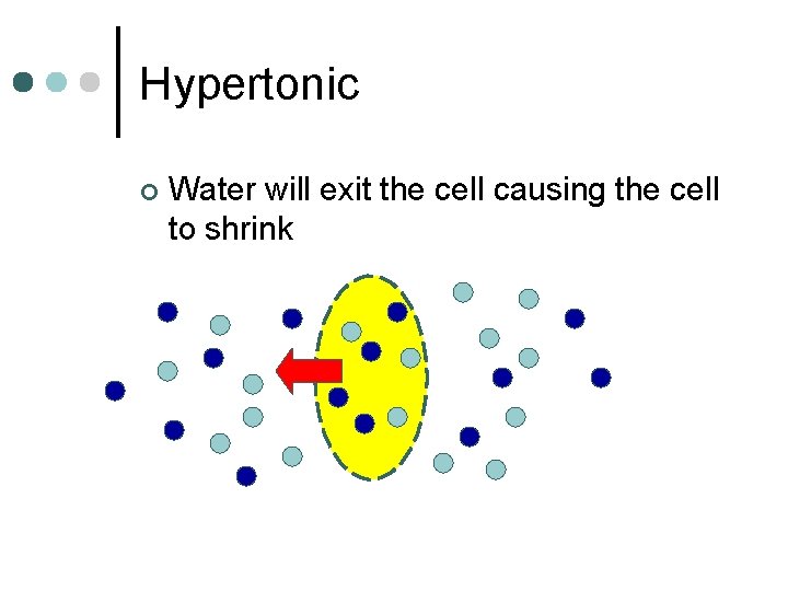 Hypertonic ¢ Water will exit the cell causing the cell to shrink 