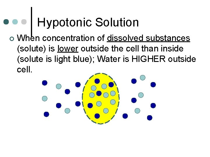 Hypotonic Solution ¢ When concentration of dissolved substances (solute) is lower outside the cell
