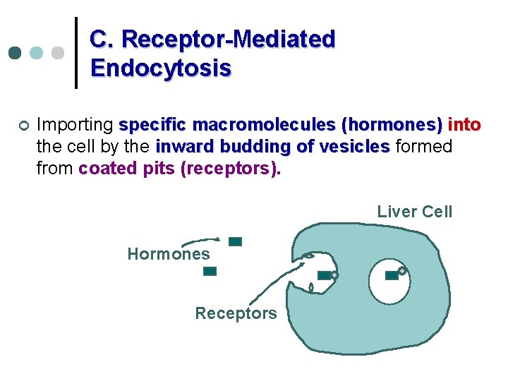 C. Receptor-Mediated Endocytosis ¢ Importing specific macromolecules (hormones) into the cell by the inward