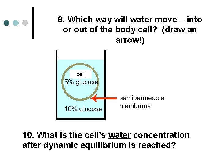 9. Which way will water move – into or out of the body cell?