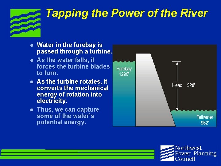 Tapping the Power of the River l l Water in the forebay is passed