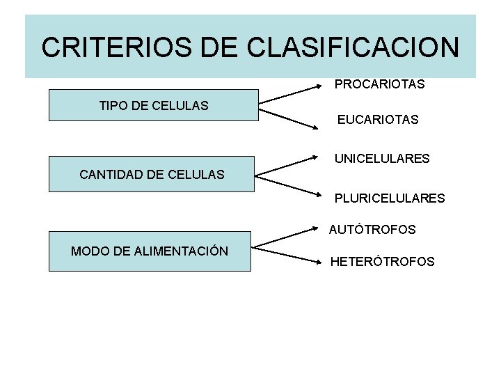 CRITERIOS DE CLASIFICACION PROCARIOTAS TIPO DE CELULAS EUCARIOTAS UNICELULARES CANTIDAD DE CELULAS PLURICELULARES AUTÓTROFOS