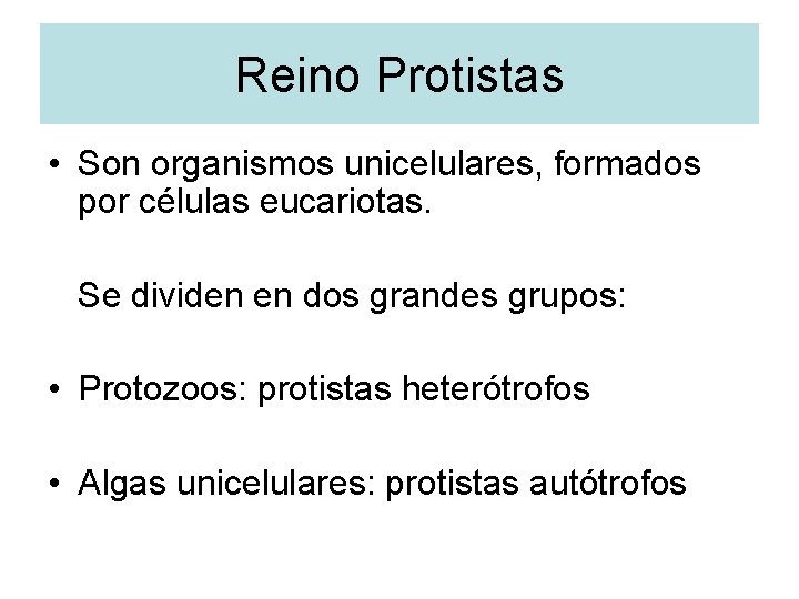 Reino Protistas • Son organismos unicelulares, formados por células eucariotas. Se dividen en dos