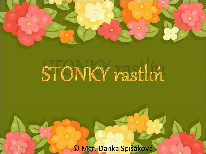 STONKY rastlín 12. 2. 2022 15: 39 © Mgr. Danka Spišáková 