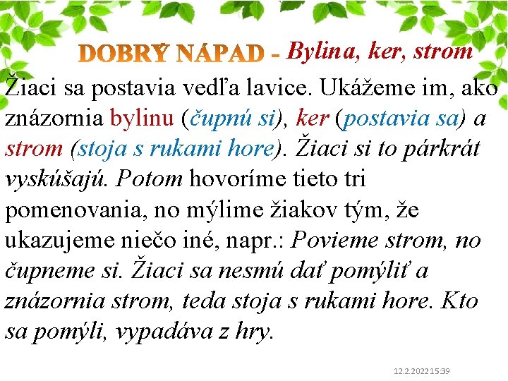 Bylina, ker, strom Žiaci sa postavia vedľa lavice. Ukážeme im, ako znázornia bylinu (čupnú