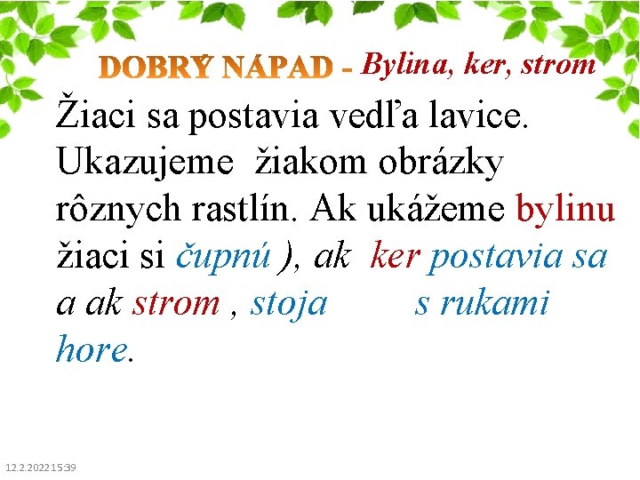 Bylina, ker, strom Žiaci sa postavia vedľa lavice. Ukazujeme žiakom obrázky rôznych rastlín. Ak