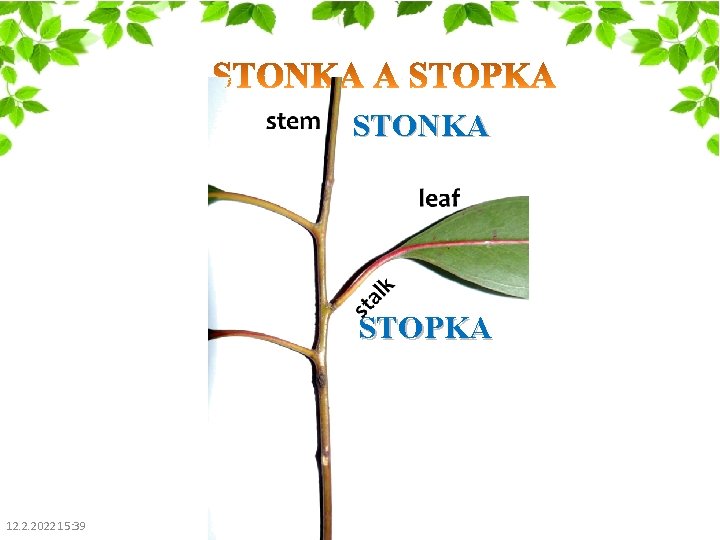 STONKA STOPKA 12. 2. 2022 15: 39 