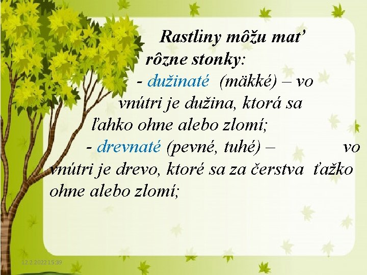 Rastliny môžu mať rôzne stonky: - dužinaté (mäkké) – vo vnútri je dužina, ktorá