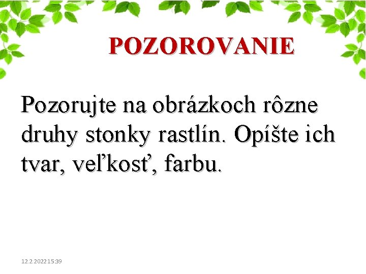 POZOROVANIE Pozorujte na obrázkoch rôzne druhy stonky rastlín. Opíšte ich tvar, veľkosť, farbu. 12.