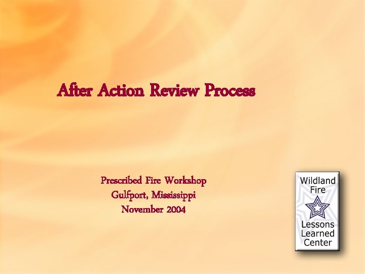 After Action Review Process Prescribed Fire Workshop Gulfport, Mississippi November 2004 