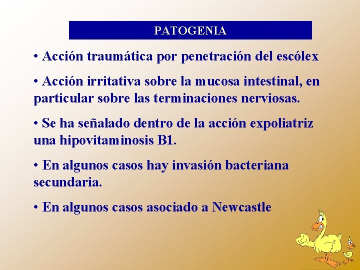 PATOGENIA • Acción traumática por penetración del escólex • Acción irritativa sobre la mucosa