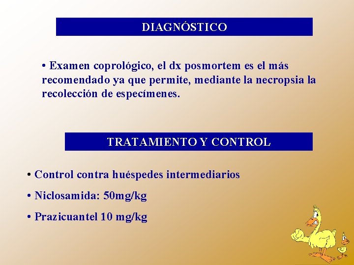 DIAGNÓSTICO • Examen coprológico, el dx posmortem es el más recomendado ya que permite,