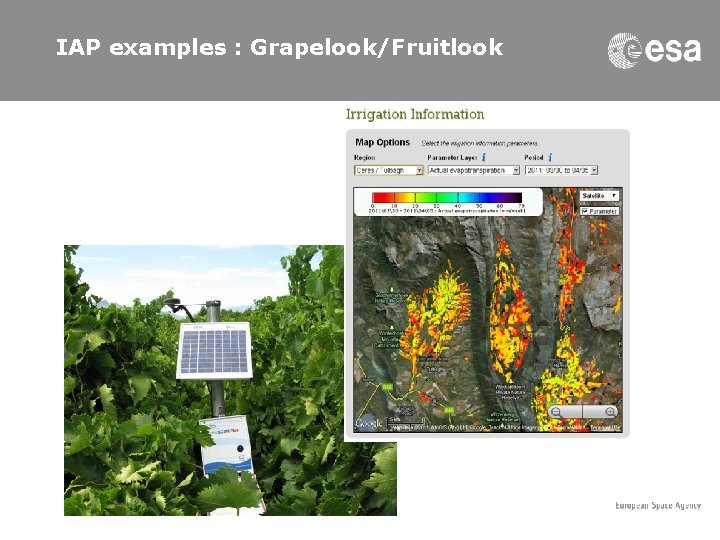 IAP examples : Grapelook/Fruitlook 