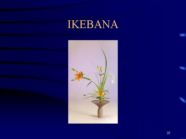 IKEBANA 20 