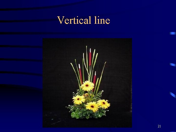 Vertical line 21 