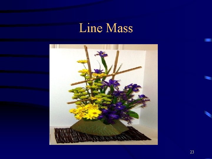 Line Mass 23 