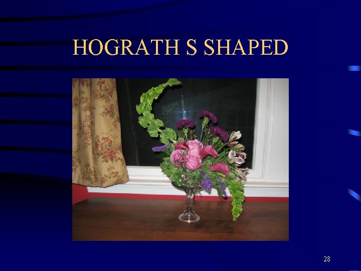 HOGRATH S SHAPED 28 