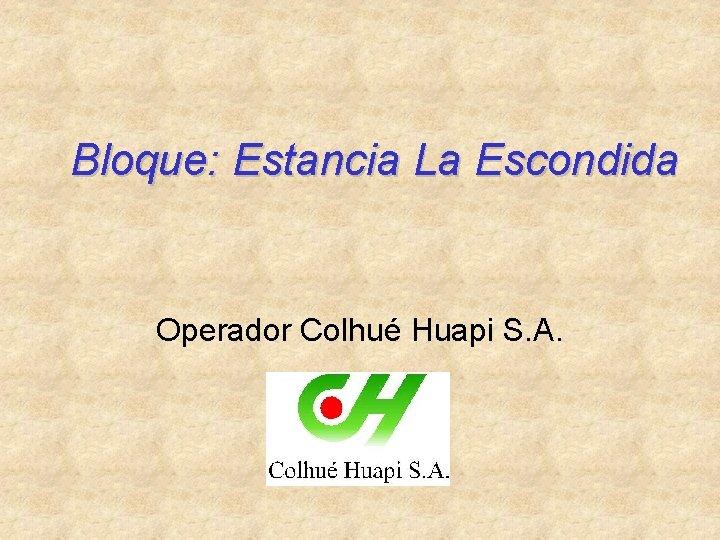 Bloque: Estancia La Escondida Operador Colhué Huapi S. A. 