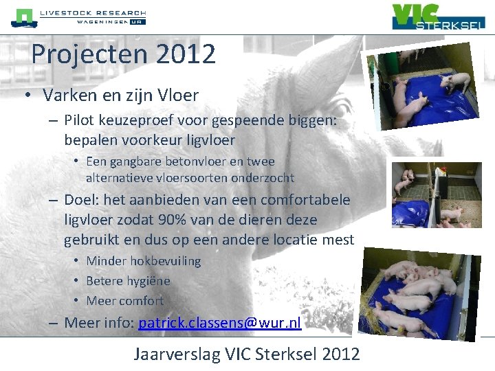 Projecten 2012 • Varken en zijn Vloer – Pilot keuzeproef voor gespeende biggen: bepalen